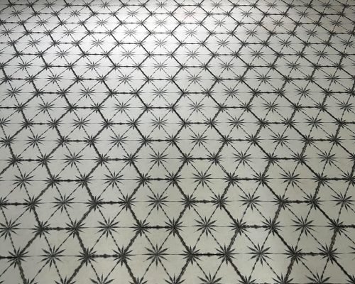 844020658_1721718536054872_2620589938873544319_n